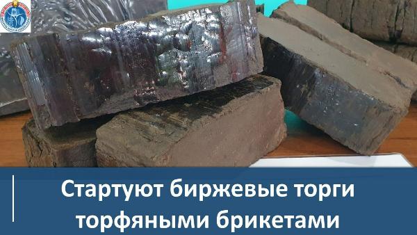 Пробные торги торфяными брикетами на бирже пройдут 15 декабря