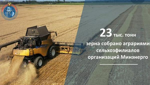 Сельхозфилиалы организаций Минэнерго убрали зерновые на 34 % площадей