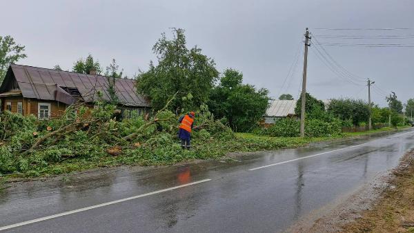 Для устранения последствий урагана в Гомельскую область направлены аварийные бригады из других регионов страны