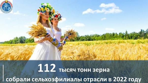Сельхозфилиалы организаций Минэнерго завершили уборку зерновых 