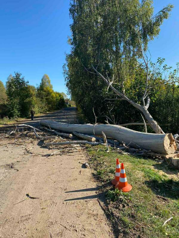 Электроснабжение за прошедшие сутки восстановлено в 1080 населенных пунктах Беларуси